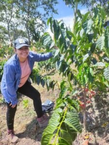 Арабика Колумбия Pink Bourbon Washed Quebraditas 250 грамм Арабика Колумбия Pink Bourbon Washed Quebraditas 250 грамм