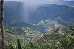 Арабіка Колумбія Pink Bourbon Washed Quebraditas 250 грам Арабіка Колумбія Pink Bourbon Washed Quebraditas 250 грам