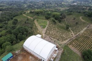 Кава в зернах Colombia Decaf Bourbon Paraiso 92